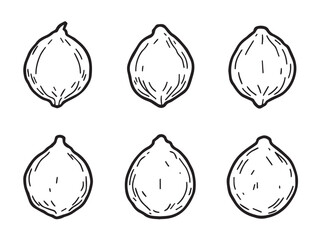 Hand drawn Lemon fruit set in line art style