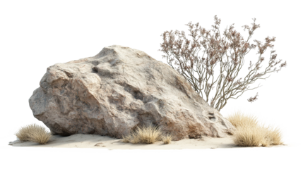 Large desert rock and dry shrub isolated on transparent background. PNG