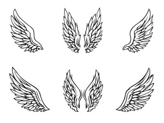 Angel wing line art hand drawn illustration