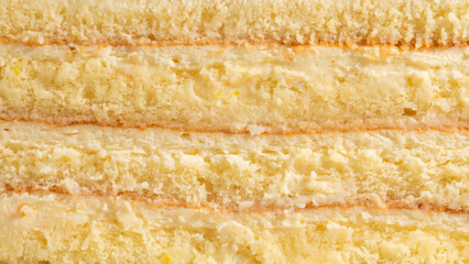 Golden sponge cake layers whisper vanilla secrets, evoking National Cake Day nostalgia and the...