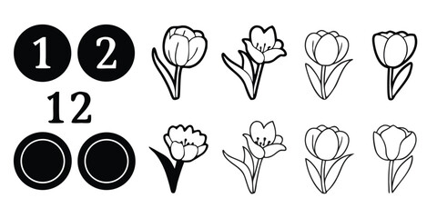 Black and White Tulip Flower Outlines with Numbers and Circles on Transparent Background This image features black white
