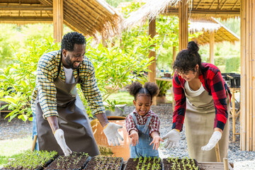 A happy farmer family working in hydroponic greenhouse farm. The family is having fun growing vegetables.