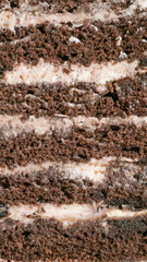 Rich chocolate sponge layers entwined with creamy whispers, evoking Decadent Chocolate Day and Yule warmth in every bite