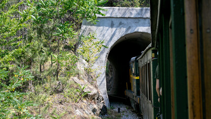 Vintage train chugs through verdant mountain tunnel, evoking nostalgic Day of the Railways...