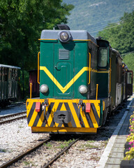 Nostalgic green locomotive chugs through sun-dappled tracks, evoking Railway Day wanderlust and...