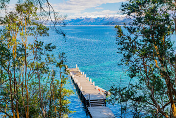 Myrtle forest, Bailoche, Nuequen, Patagonia, Argentina