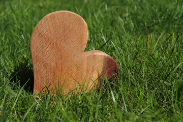 Holzherz im Gras