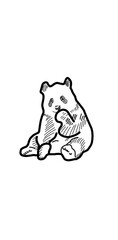 panda illustration