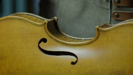 Skilled craftsman meticulously applying varnish to antique a new vviolin, showcasing delicate...