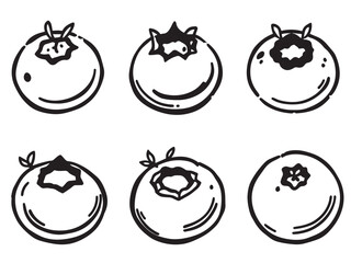 blueberry outline food illustration