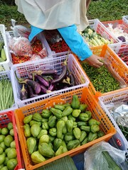 Various kinds of fresh vegetables in plastic boxes sell at traditional market.
