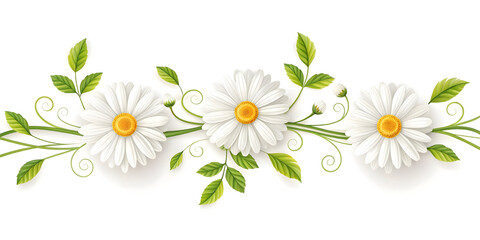 Three White Daisies with Yellow Centers and Green Leaves Design"