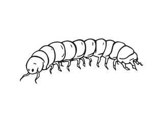centipede minimal insect artwork