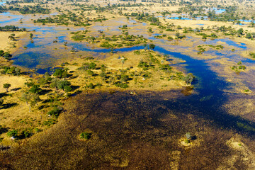 Breathtaking aerial view of the Okavango Delta near Maun in Botswana, showing vibrant wetlands, blue lagoons, and golden grasslands. Ideal for use in nature, travel, and wildlife photography projects.