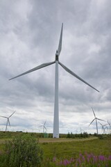 On shore renewable energy, wind farm with rolling landscape.