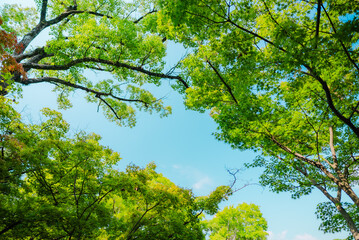 Wakayama Castle in Wakayama, Japan