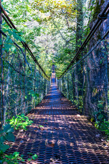An iron suspension bridge on steel cables across a mountain river leading to the forest on a sunny autumn day