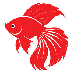 Red Betta Fish Facts: Beauty, Behavior & Habitat