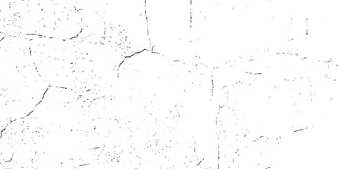 A close-up, high-contrast, black and white photograph showcasing a network of fine, intricate cracks on a textured surface, resembling dry earth or aged paint.