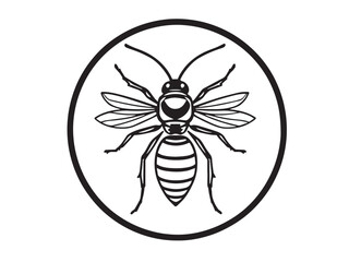hornet line art illustration