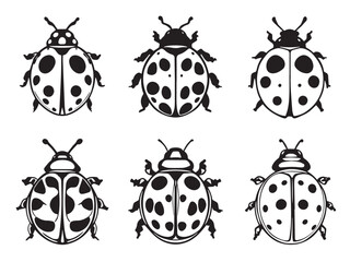 Minimalist ladybug insect line drawing