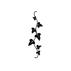 Black Ivy Vine Silhouette Illustration