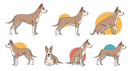 Obraz premium Collection of various poses and angles of a brown and white dog with erect ears and tail standing sitting and lying down against simple circular backgrounds