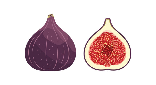 Fresh ripe purple fig fruit and its juicy cross section showing delicious red seeds