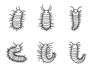 Millipede Line Art Illustration