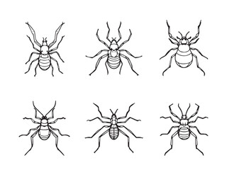 mite simple line art clear vision