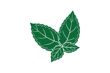 Fresh Green Mint Leaves Illustration in Silhouette Style with Detailed Veins and Serrated Edges on a White Background silhouette