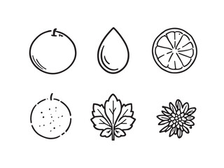 Citrus orange minimal line design