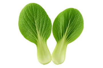 Two vibrant, fresh bok choy leaves are shown against a transparent background, ideal for food-related designs