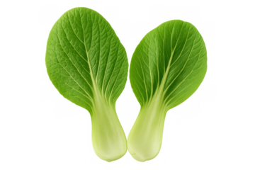 Two vibrant, fresh bok choy leaves are shown against a transparent background, ideal for food-related designs