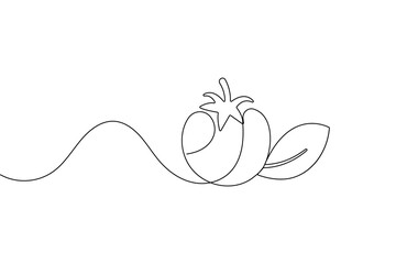 Tomato single line art drawing minimal style fresh vegetable isolated vector illustration