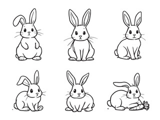 rabbit line art bunny illustration