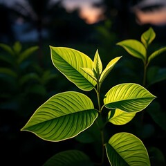 A vibrant natural background featuring lush tropical leaves in various shades of green. Perfect for eco-themed designs, wellness projects, or organic branding visuals