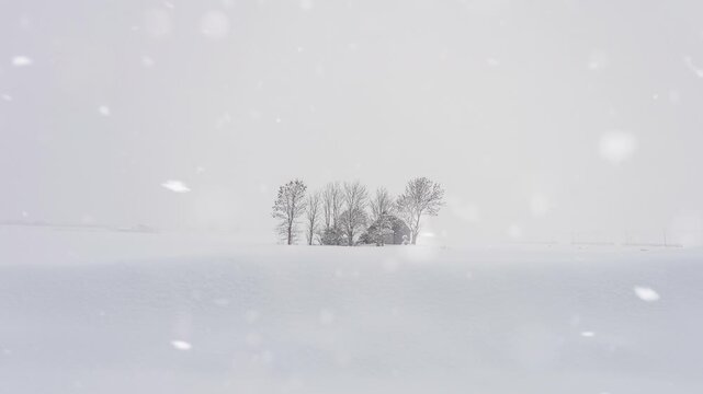 일본 훗카이도 설원에서 고요히 눈 내리는 풍경과 작은 집 영상
( Japan Hokkaido: Serene Snowfall over a Snowy Field with a Small House | Video Footage )