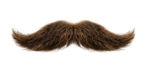 Brown Mustache Shape on Transparent Background