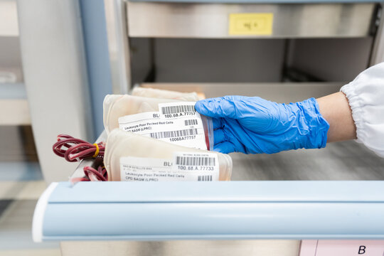 Close up scientist hand wear blue gloves holding red blood bag in storage refrigerator at blood bank unit laboratory.Blood bags received from blood donations used in patients.Save life medical concept - Powered by Adobe