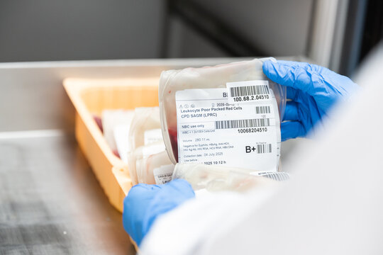 Close up scientist hand wear blue gloves holding red blood bag in storage refrigerator at blood bank unit laboratory.Blood bags received from blood donations used in patients.Save life medical concept