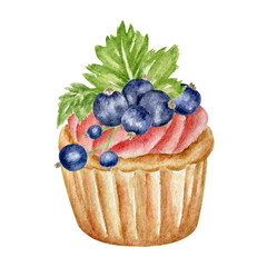 Holiday Muffin with fresh black currant berries and whipped cream, hand-drawn in watercolor. Sweet pastries for a pastry shop logo, stickers, packaging, a print for a holiday card, party invitation.