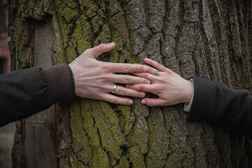 Hands of lovers with silver rings close-up