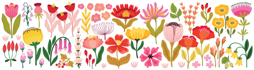 Floral collection with flowers, leaves for your design. Hand drawn set. Vector illustration.