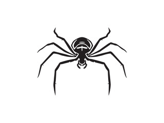 Spider outline icon line illustration