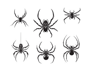 Minimal spider drawing vector style
