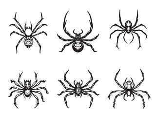 Obraz premium Spider line art graphic collection