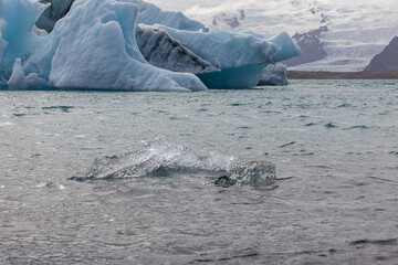 Diamond Beach in Island /  der Gletscherlagune 
