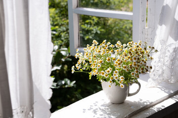 a bouquet of daisies on the window