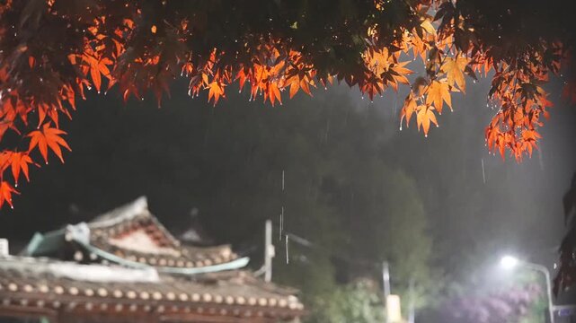 가을 밤, 단풍잎 위로 비가 내리고 한옥이 배경에 흐릿하게 보이는 감성적인 시네마틱 장면 Rain Falling on Autumn Leaves with Hanok in the Background | Cinematic Korean Rainy Night Scene